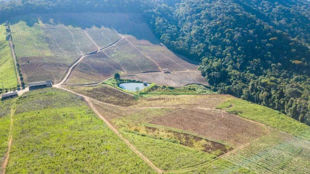 Fazenda, 94 hectares - Foto 30