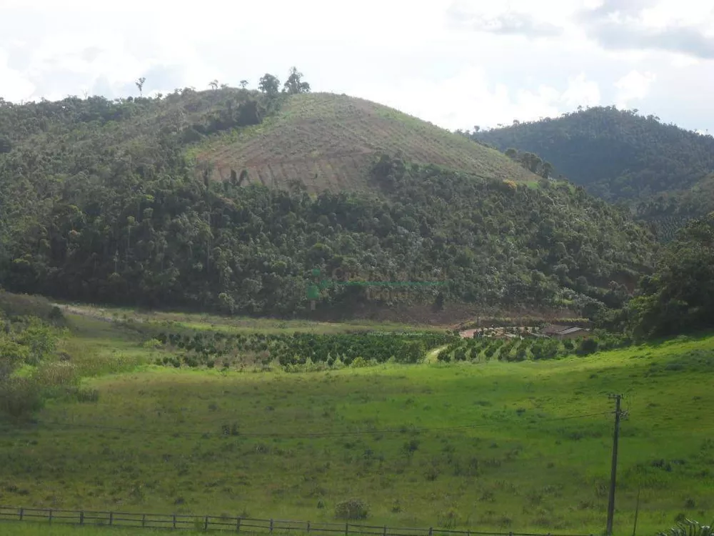 Fazenda, 94 hectares - Foto 26