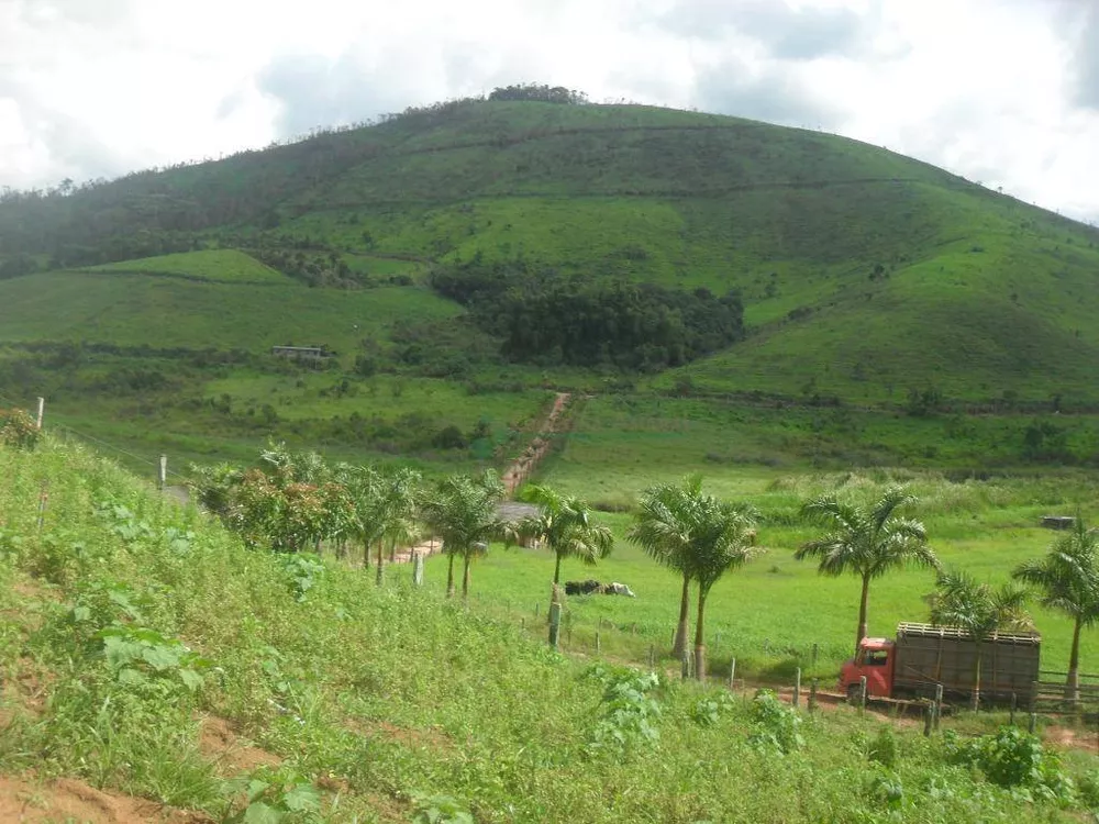 Fazenda, 94 hectares - Foto 7