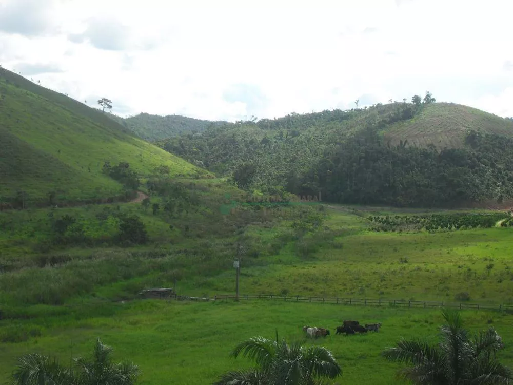 Fazenda, 94 hectares - Foto 12
