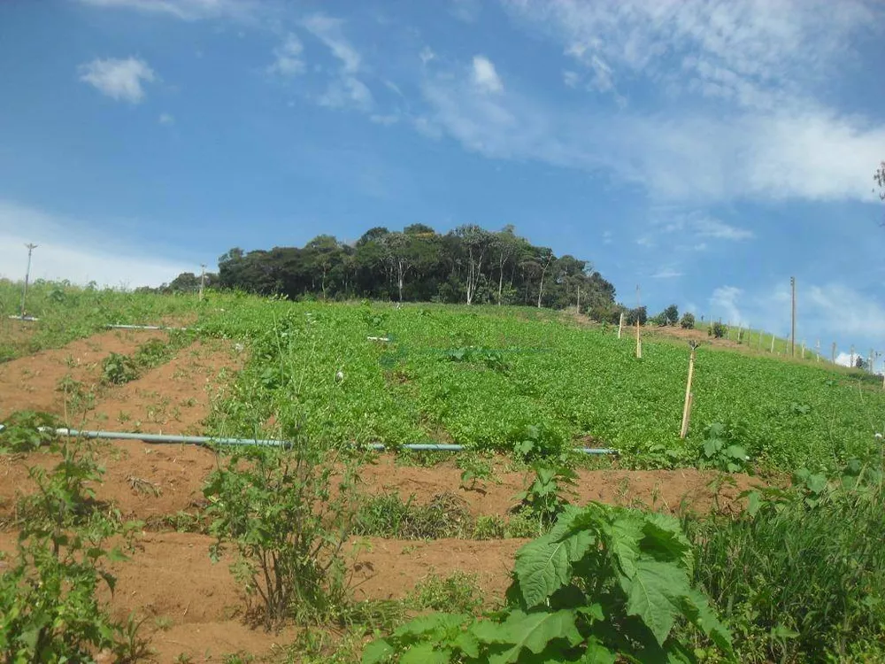 Fazenda, 94 hectares - Foto 9