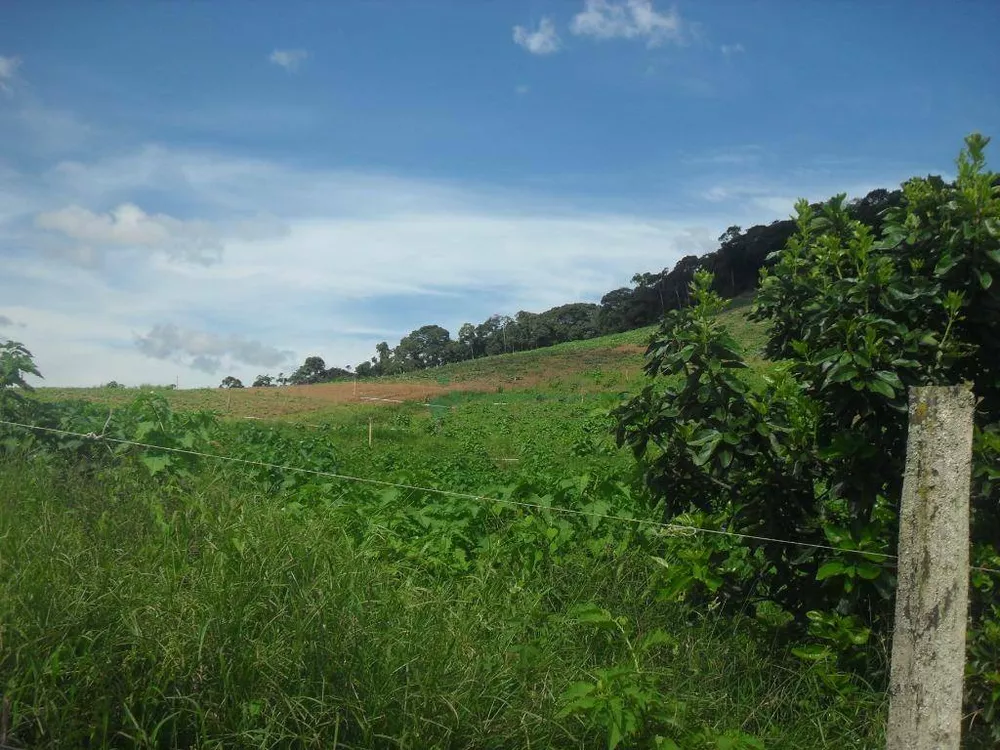 Fazenda, 94 hectares - Foto 18