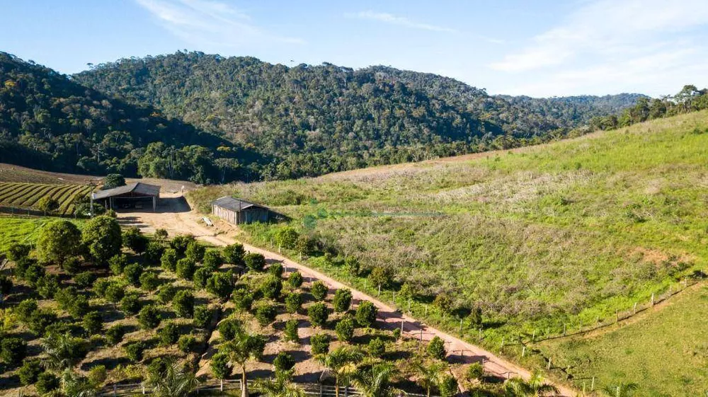 Fazenda, 94 hectares - Foto 49