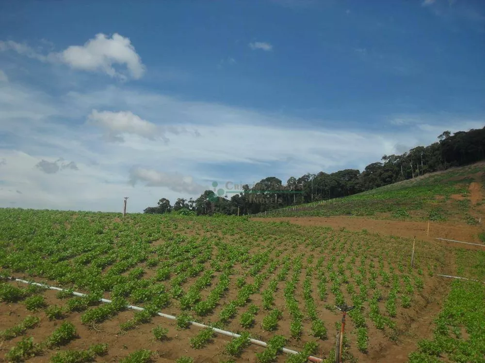 Fazenda, 94 hectares - Foto 6