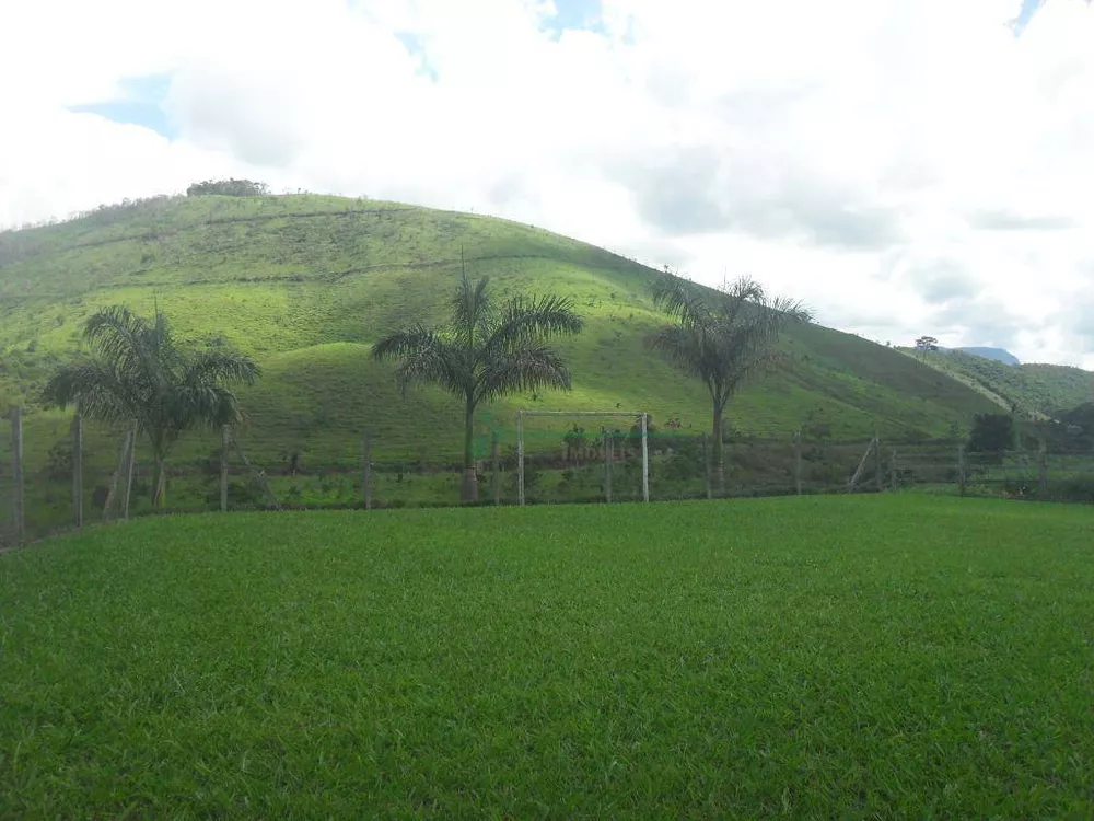 Fazenda, 94 hectares - Foto 17