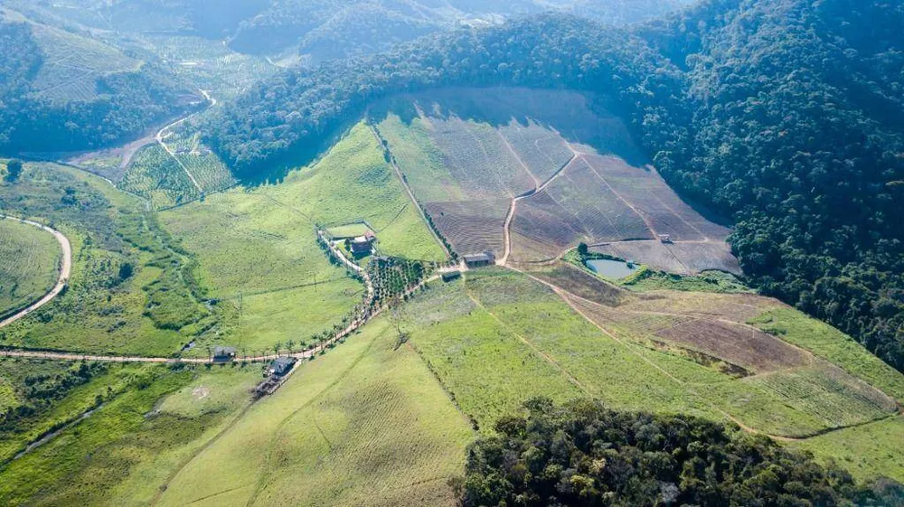 Fazenda, 94 hectares - Foto 37