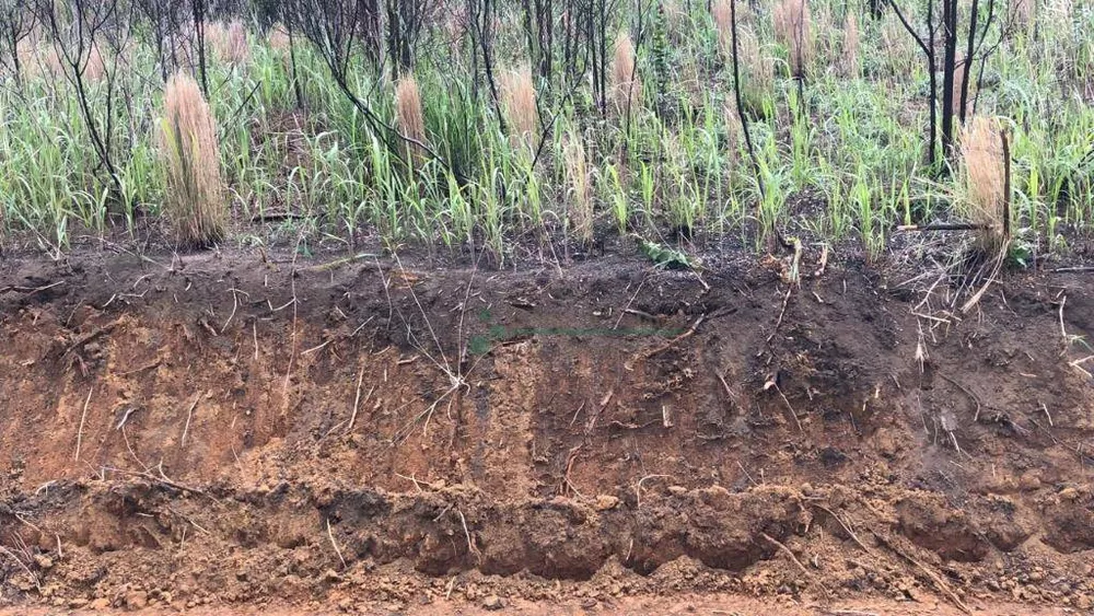 Loteamento e Condomínio, 727 m² - Foto 34