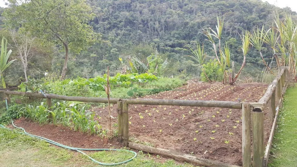 Sítio, 8 quartos, 3 hectares - Foto 24