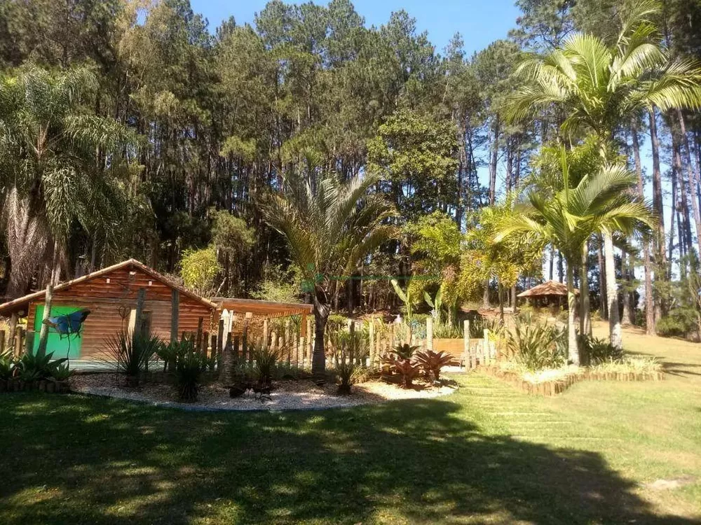 Sítio, 8 quartos, 3 hectares - Foto 71