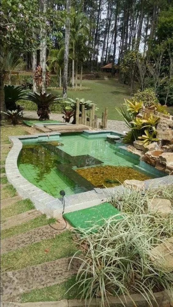 Sítio, 8 quartos, 3 hectares - Foto 18