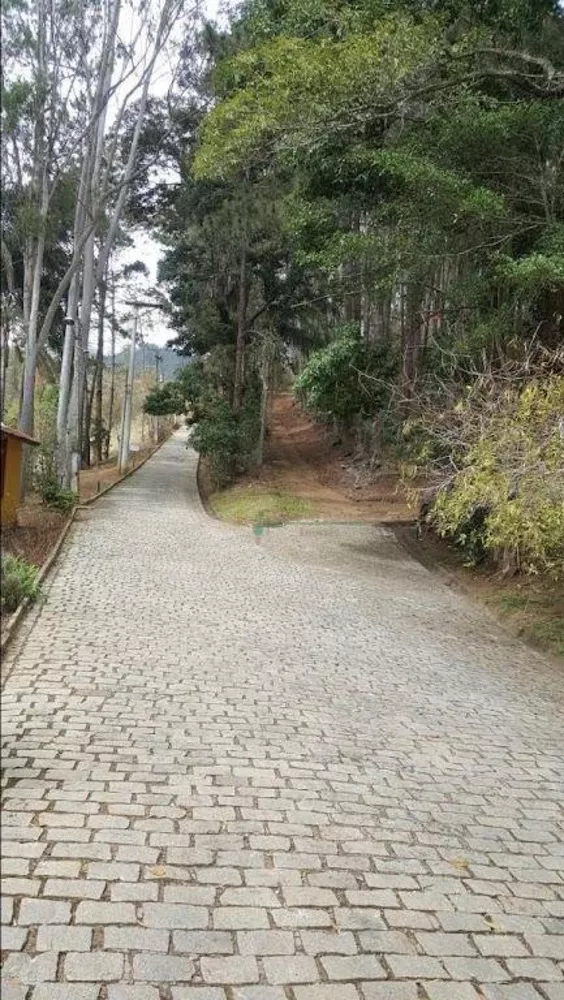 Sítio, 8 quartos, 3 hectares - Foto 14