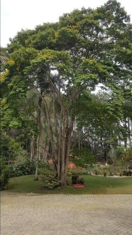 Sítio, 8 quartos, 3 hectares - Foto 16