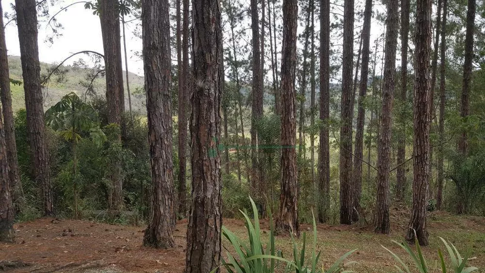 Sítio, 8 quartos, 3 hectares - Foto 8