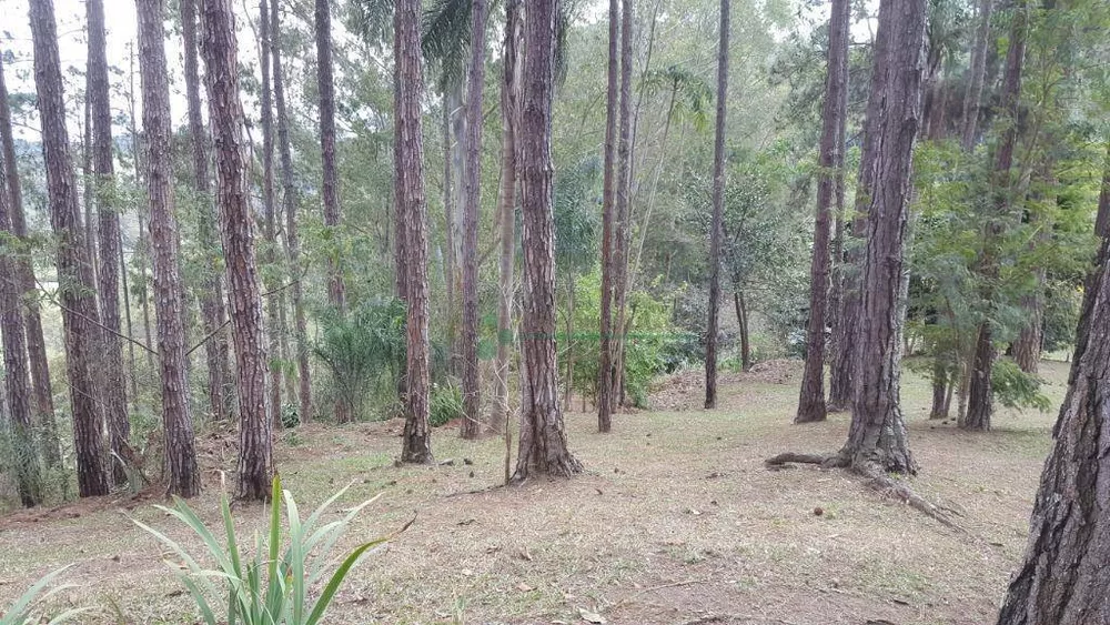 Sítio, 8 quartos, 3 hectares - Foto 7