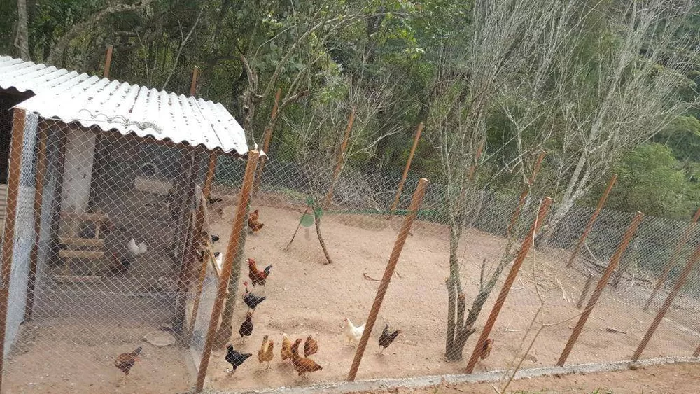 Sítio, 8 quartos, 3 hectares - Foto 26