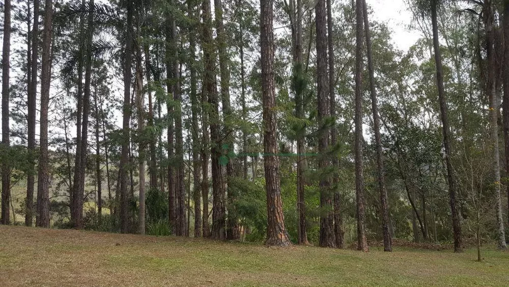 Sítio, 8 quartos, 3 hectares - Foto 6