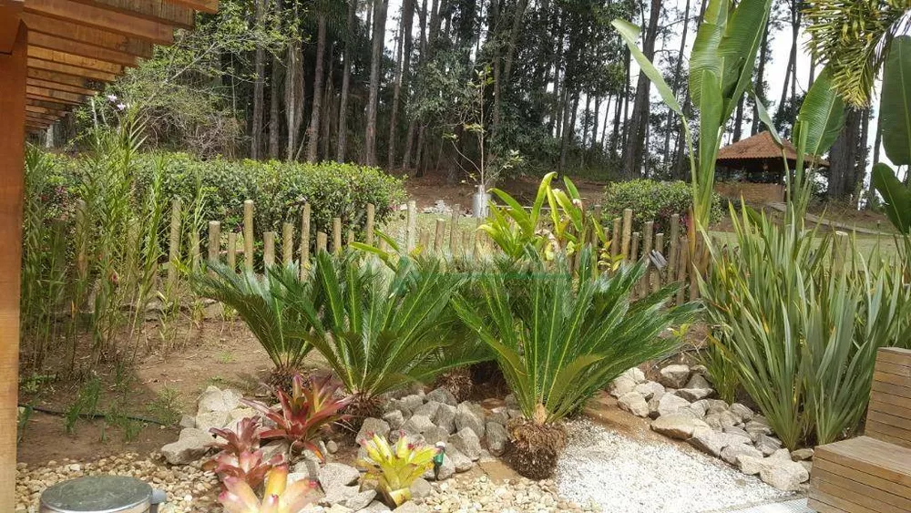 Sítio, 8 quartos, 3 hectares - Foto 5