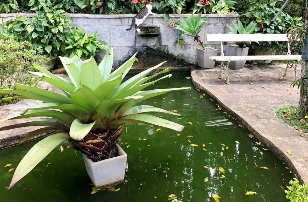 Casa, 3 quartos, 228 m² - Foto 11