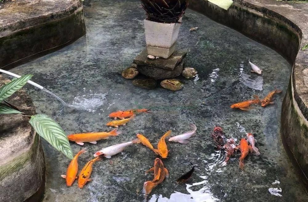 Casa, 3 quartos, 228 m² - Foto 12