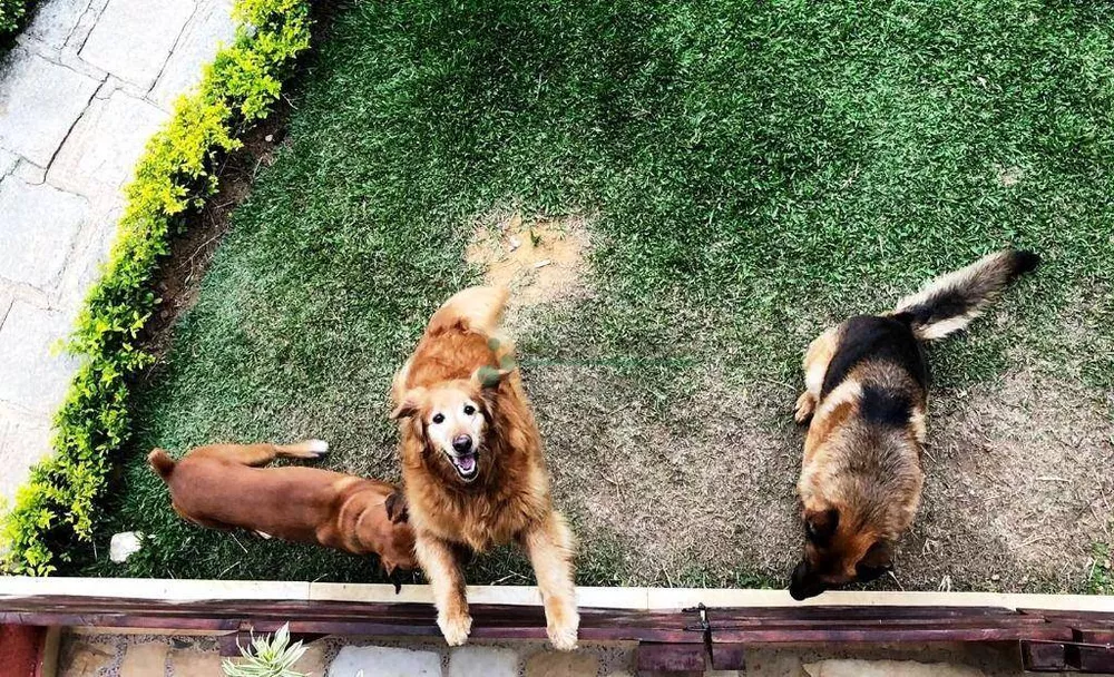 Casa, 3 quartos, 228 m² - Foto 10