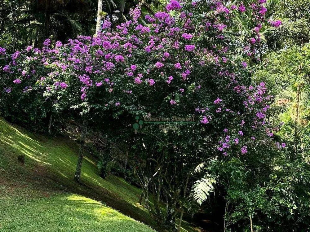 Sítio, 4 quartos, 3840 m² - Foto 15