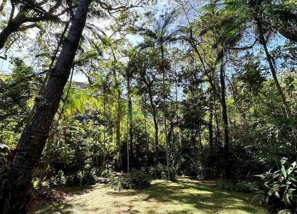 Sítio, 4 quartos, 3840 m² - Foto 17