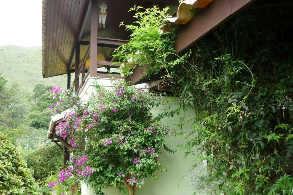 Casa, 4 quartos, 190 m² - Foto 49