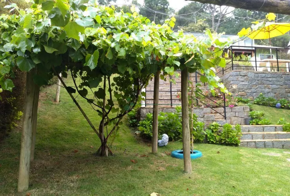 Casa, 4 quartos, 190 m² - Foto 28