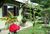 Casa, 4 quartos, 190 m² - Foto 2
