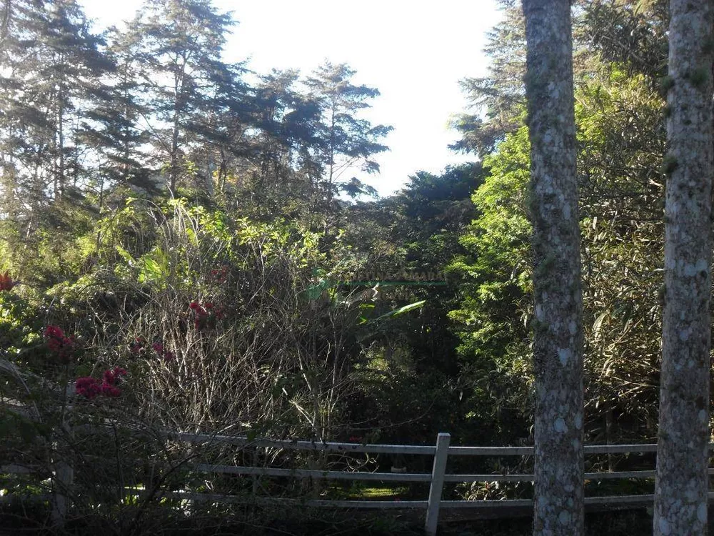 Chácara, 3 quartos, 30 hectares - Foto 6