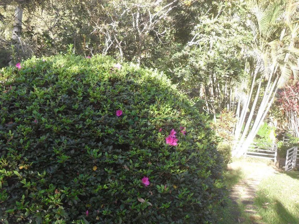 Chácara, 3 quartos, 30 hectares - Foto 24