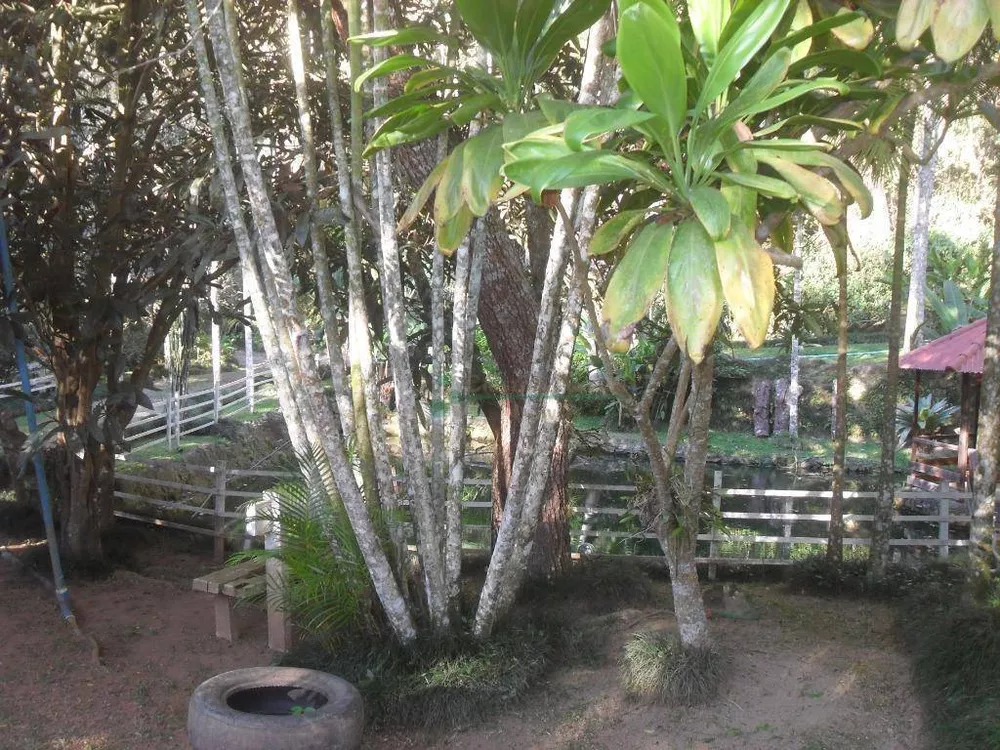 Chácara, 3 quartos, 30 hectares - Foto 3