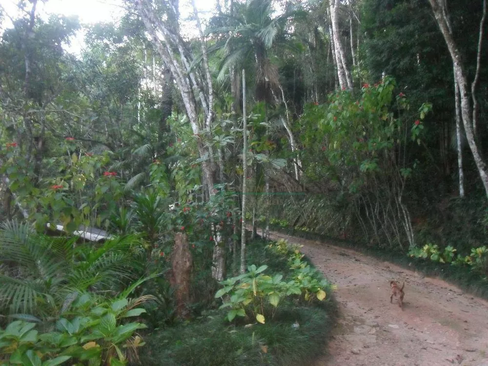 Chácara, 3 quartos, 30 hectares - Foto 39
