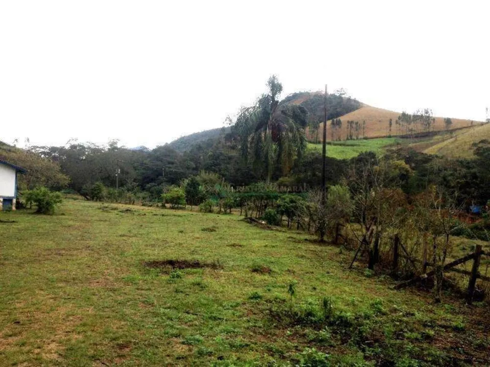 Fazenda, 102 hectares - Foto 9