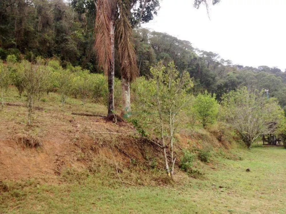 Fazenda, 102 hectares - Foto 6