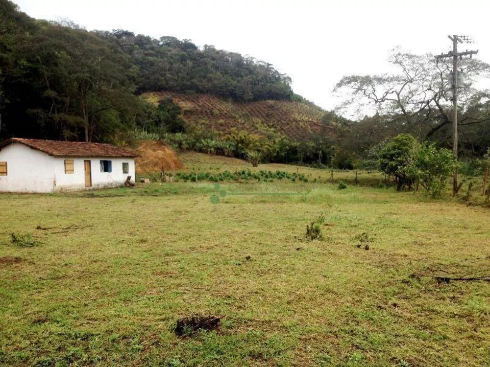 Fazenda à venda com 4 quartos, 240m² - Foto 2