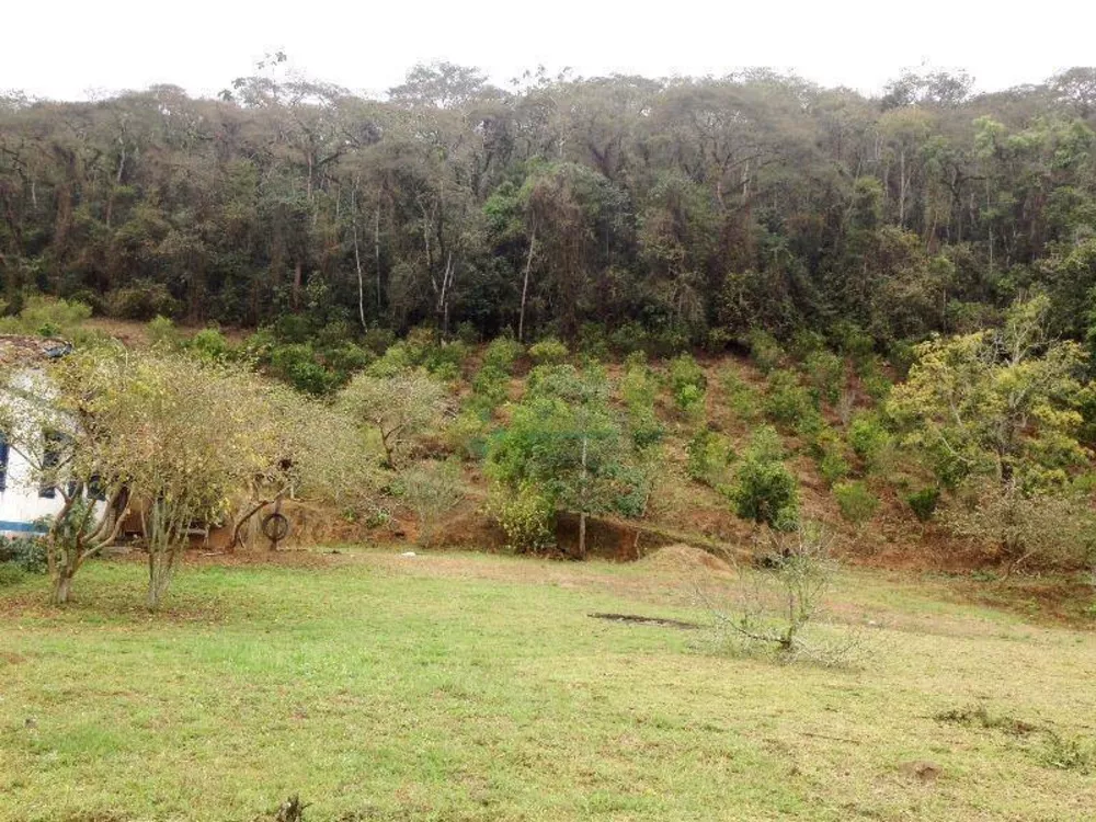 Fazenda, 102 hectares - Foto 5