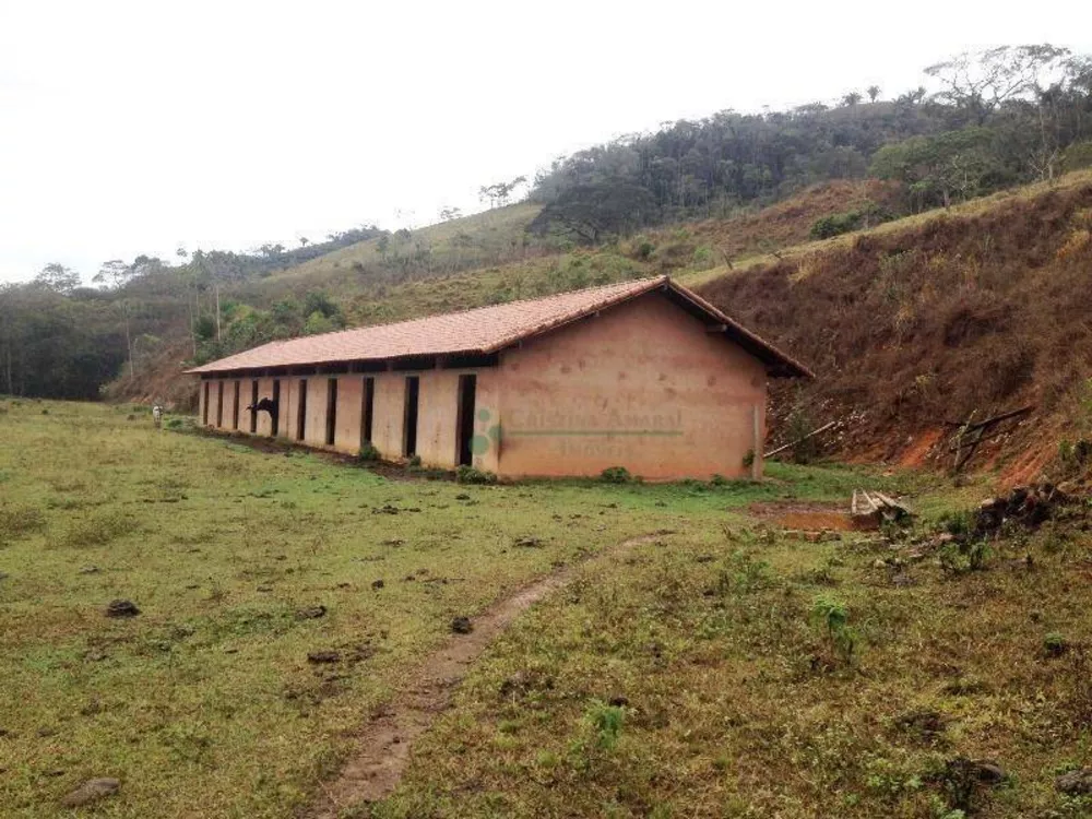 Fazenda, 102 hectares - Foto 8