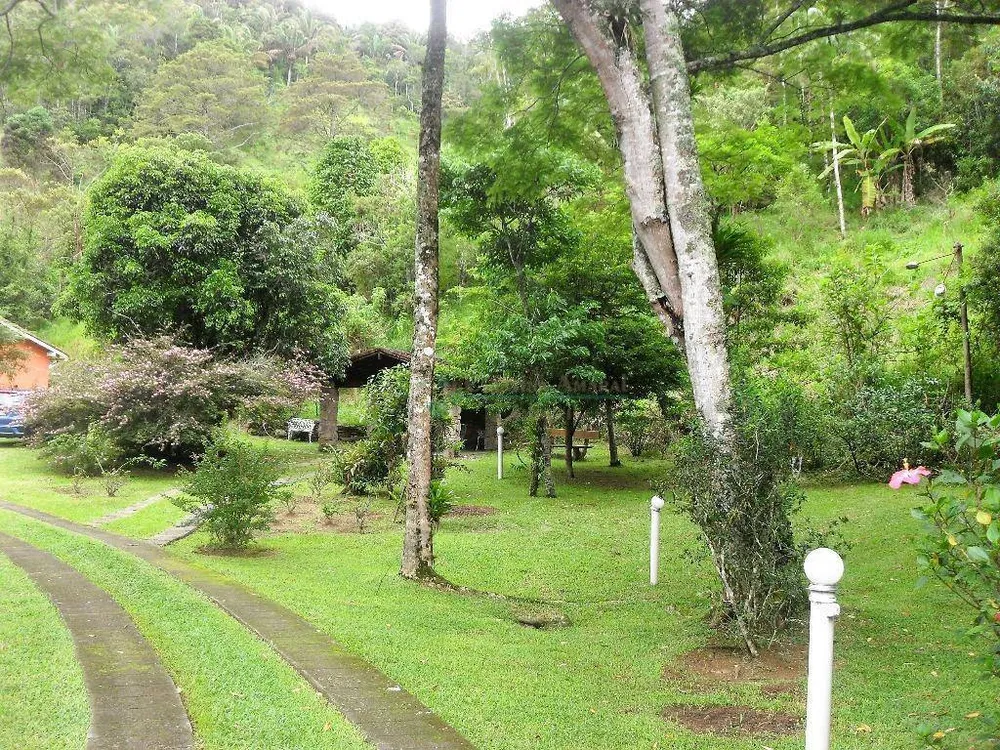 Sítio, 4 quartos, 42 hectares - Foto 3