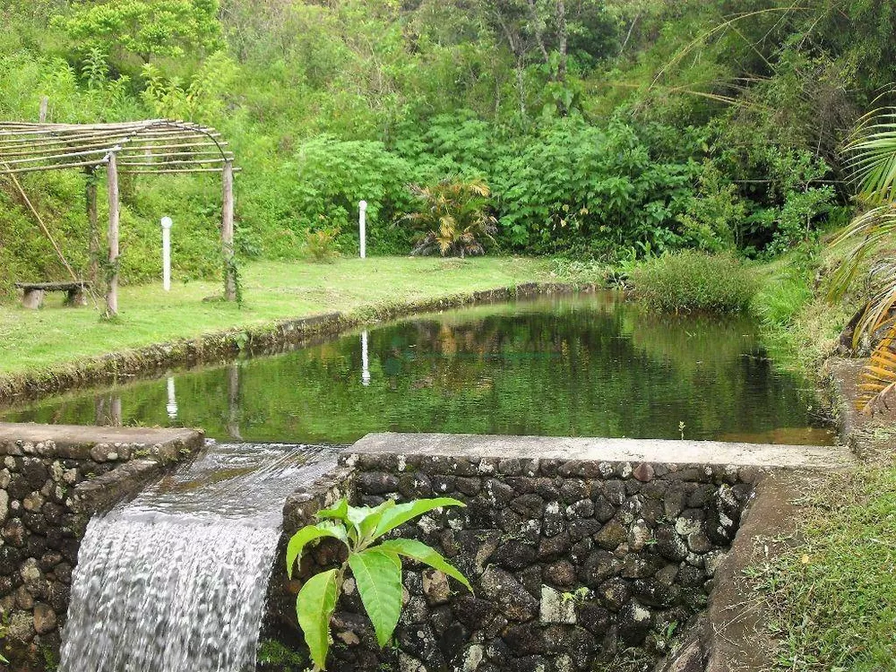 Sítio, 4 quartos, 42 hectares - Foto 22