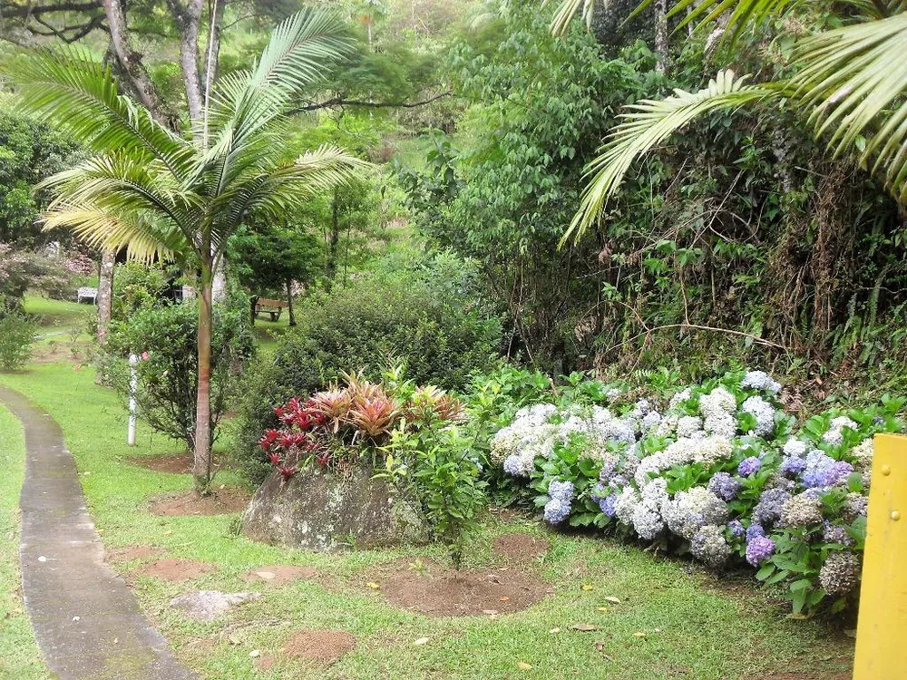 Sítio, 4 quartos, 42 hectares - Foto 10