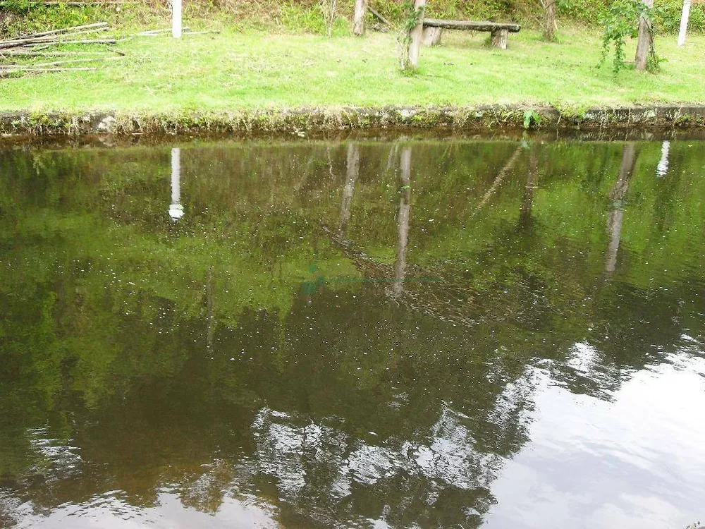 Sítio, 4 quartos, 42 hectares - Foto 18