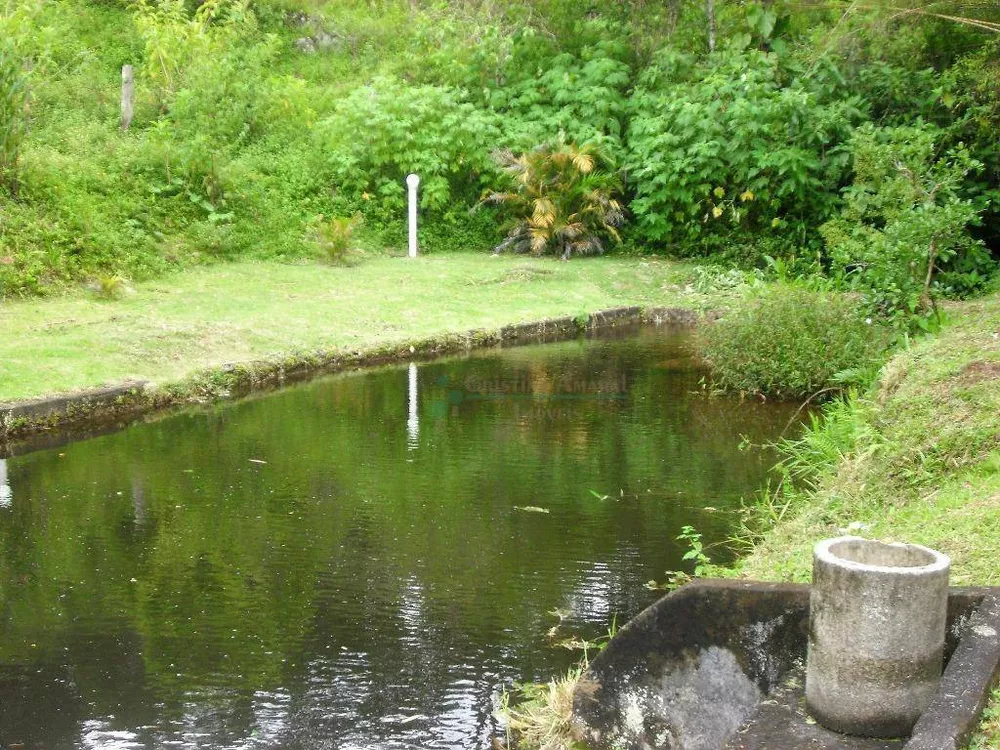 Sítio, 4 quartos, 42 hectares - Foto 20