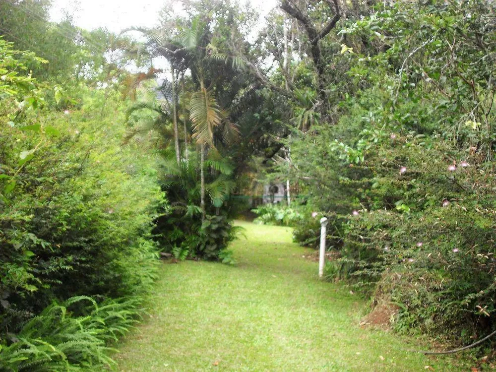 Sítio, 4 quartos, 42 hectares - Foto 14