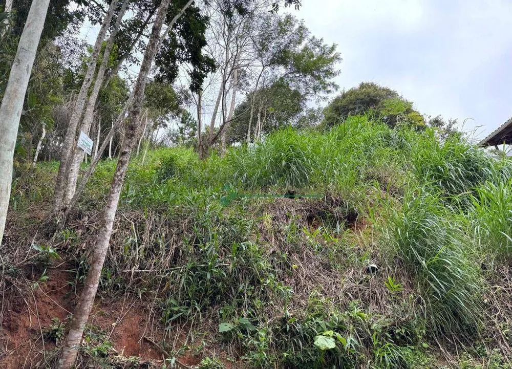 Terreno, 600 m² - Foto 3