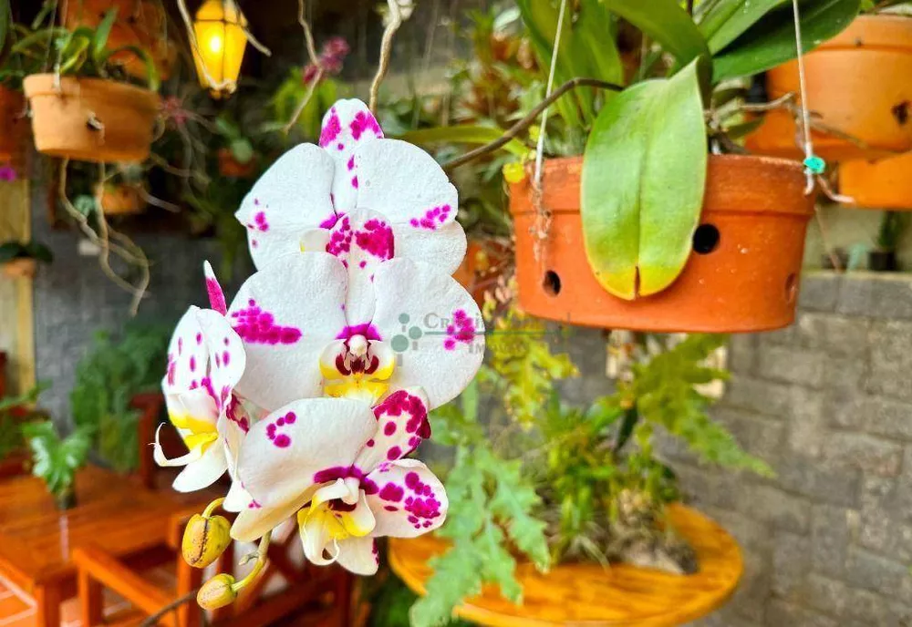 Casa, 4 quartos, 111 m² - Foto 22