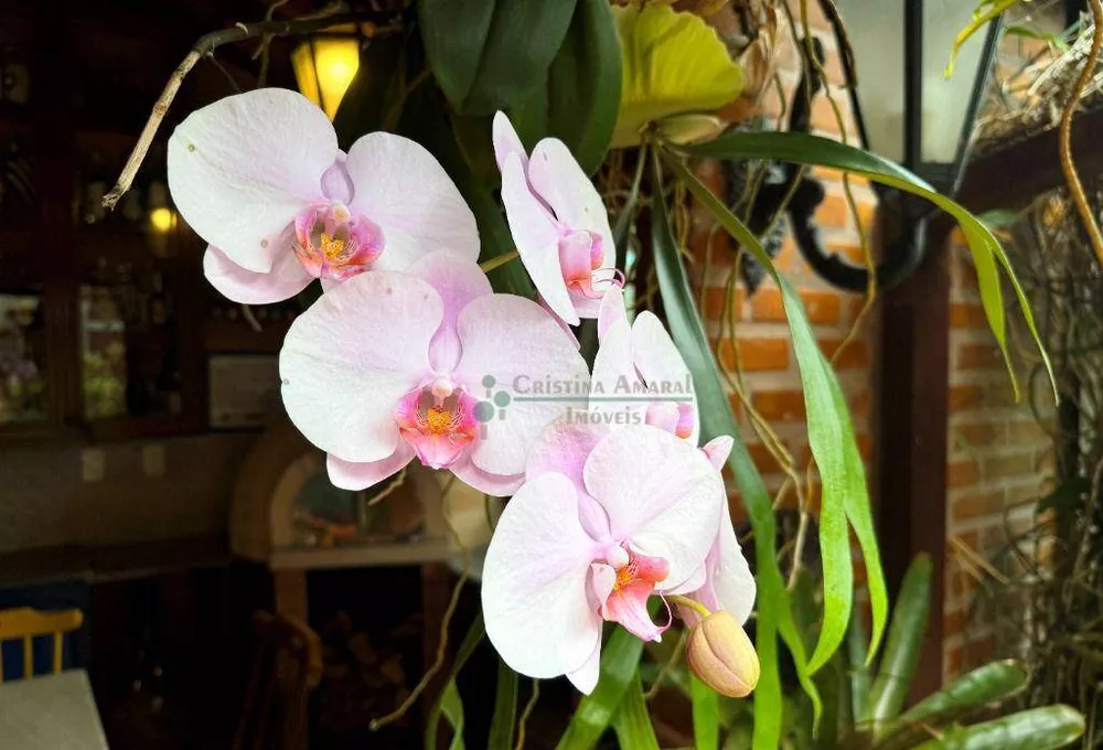 Casa, 4 quartos, 111 m² - Foto 23