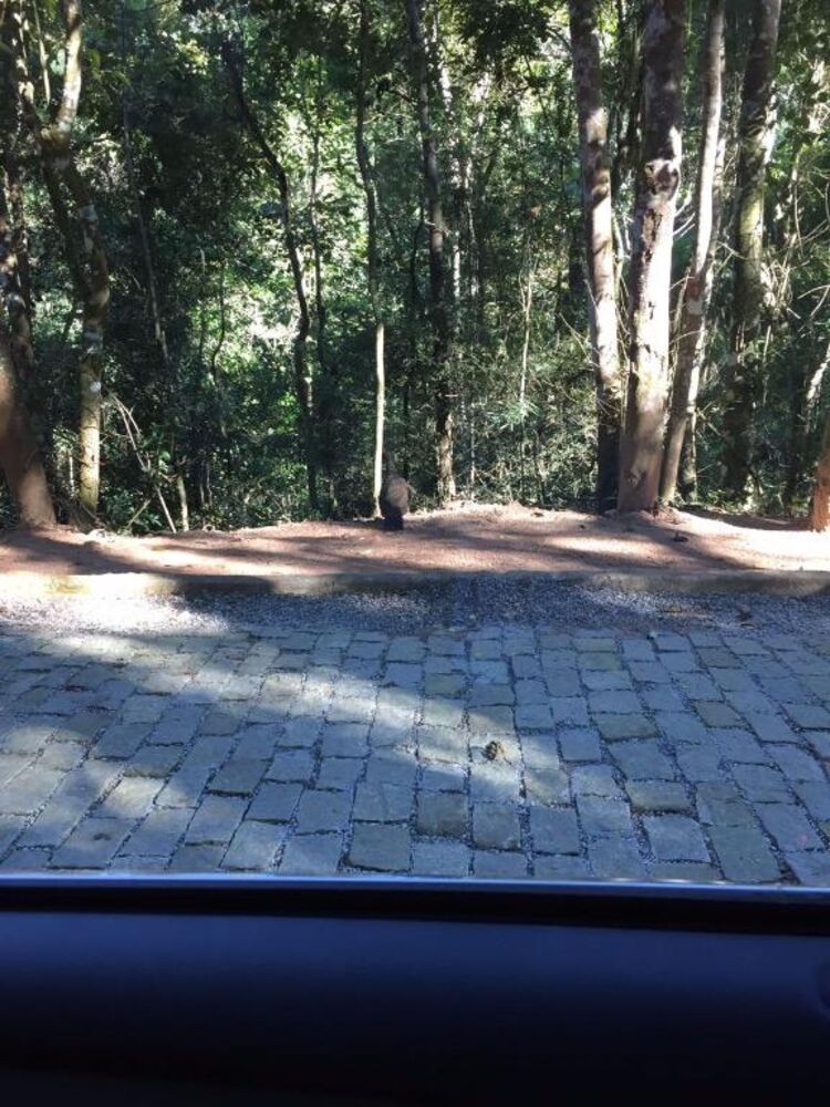Loteamento e Condomínio, 600 m² - Foto 18