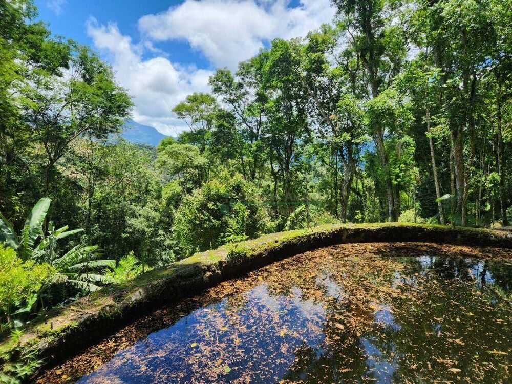 Terreno, 5500 m² - Foto 5