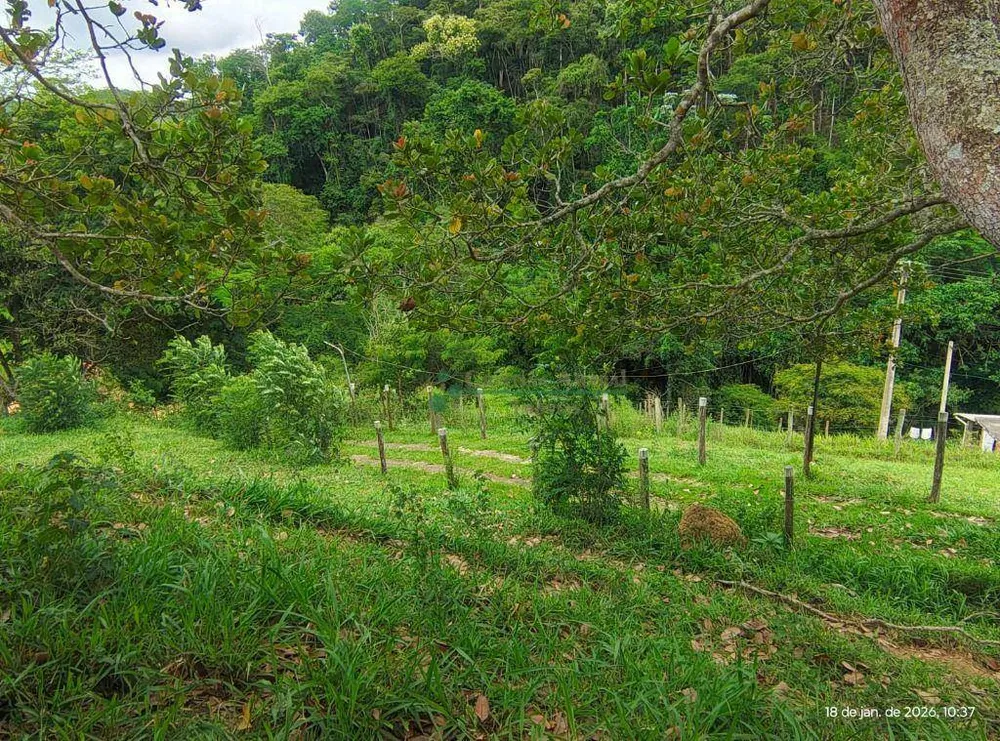 Terreno, 20 hectares - Foto 13